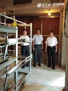 全市獸用抗菌藥使用減量化行動試點(diǎn)啟動儀式在莒縣舉行