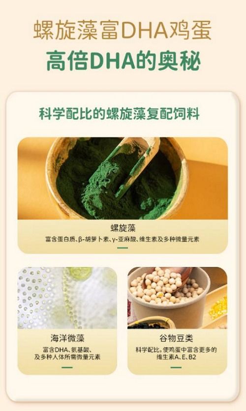 破解營養(yǎng)難題 農沃豐螺旋藻富dha雞蛋創(chuàng)新 出圈