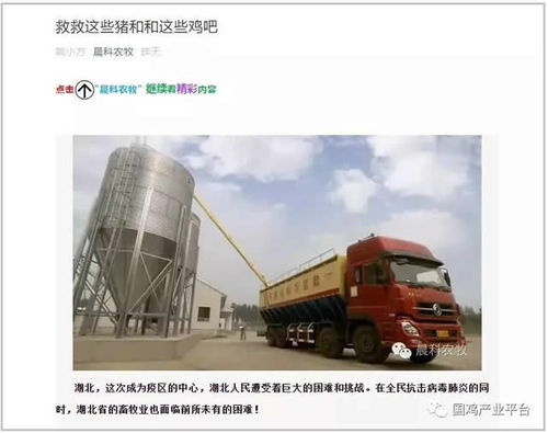 飼料告急！湖北龍頭養雞企業僅剩3天庫存，畜牧業協會緊急呼吁救急